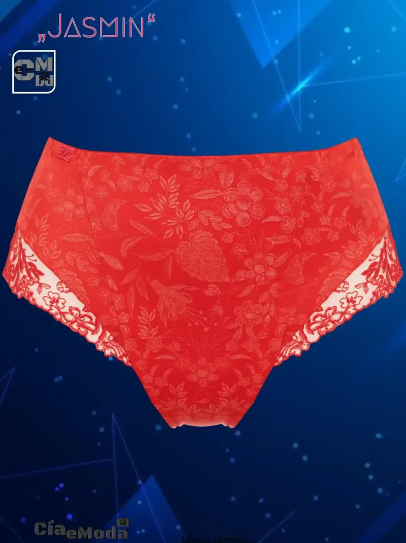 2710 Bragas cintura alta - Jasmin (38-60)